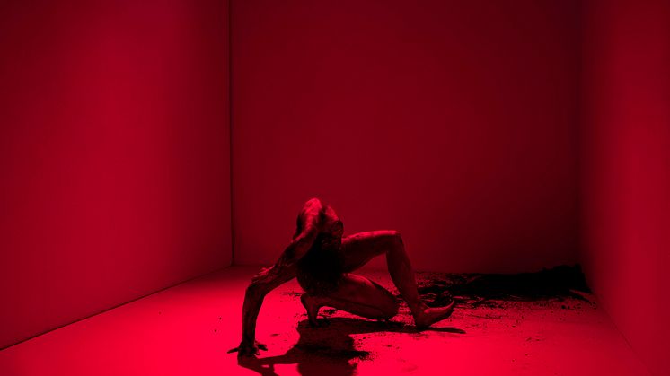 How Far are You Willing to Bend - The Shedding FOTO: KlaraG 