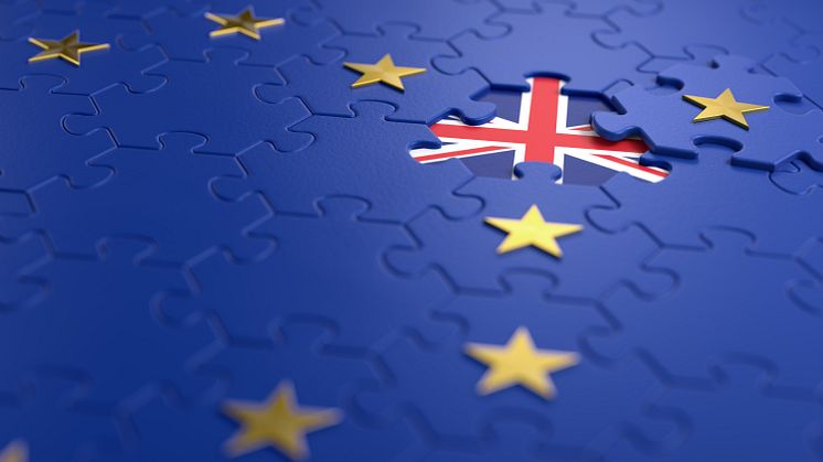EXPERT COMMENT: The insecurity of a new no-deal Brexit Prime Minister