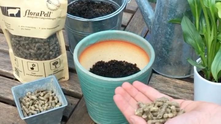 Depotdüngung mit Schafwoll-Pellets ist einfach in der Anwendung