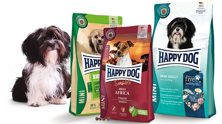 Alles, was kleine Hunde brauchen: Die Mini-Vielfalt von Happy Dog