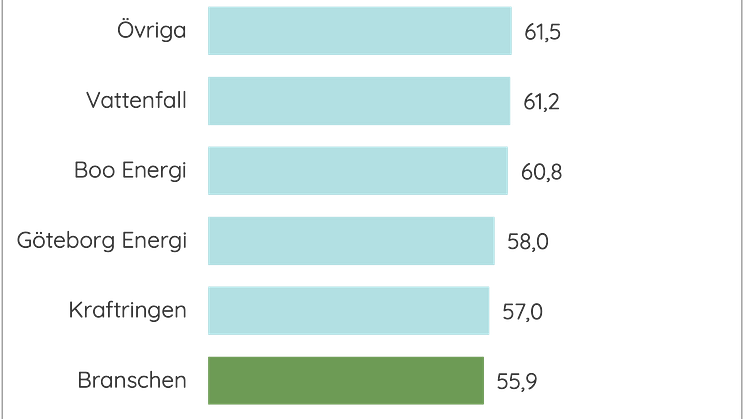 HI Elnät privat 2024.png
