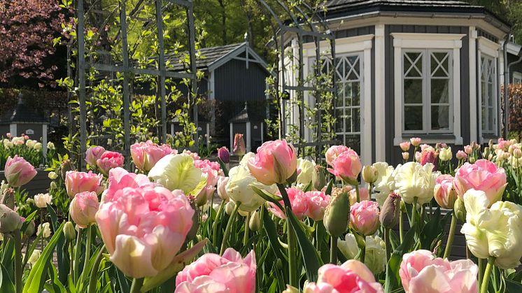 Bigården