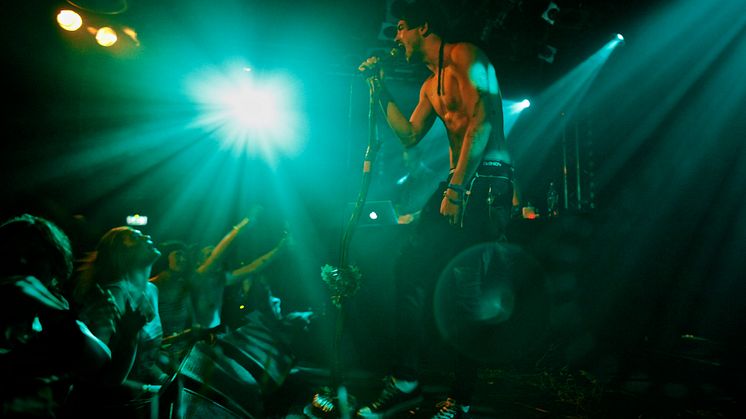 Öresundsfestival 2013