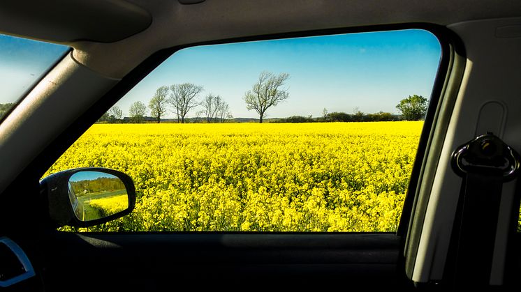 Autoexperten tipsar om hur du gör bilen redo för semestern.