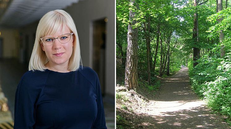 ​C om Årstaskogen: Bygg högt och tätt istället för i grönområden.
