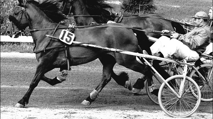 Foto: Erik Widén