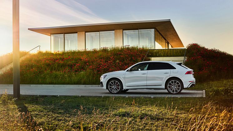 Audi Q8 60 TFSI e quattro (Gletsjerhvid)