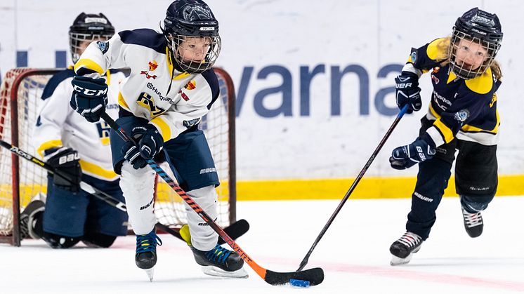 HV71_2.jpg
