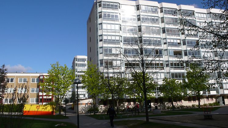 Malmös största klimatsmarta gårdsfest - av boende för boende