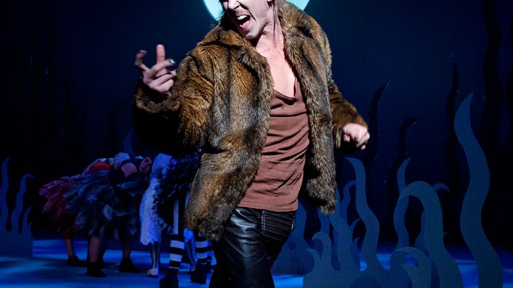 Nils Holgerssons underbara resa - pressbild 6 