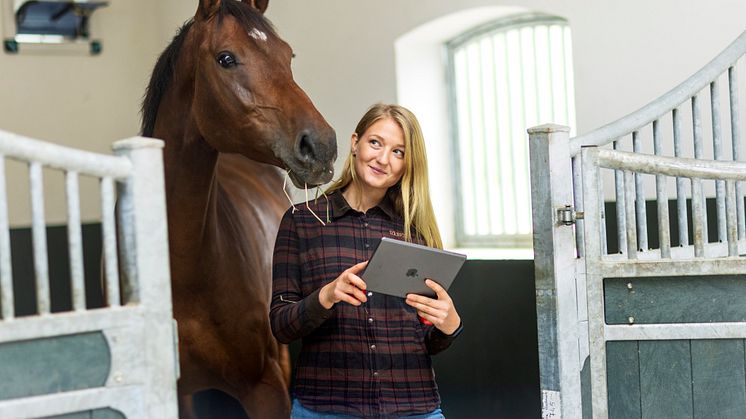 Dunstan erbjuder kunder en digital jämförelse av försäkringar