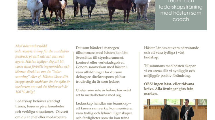 HALT - ledarskapsträning med hästen som coach