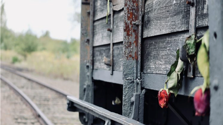 Den 27 januari samlas människor över hela världen i en årlig manifestation. Det är den internationella minnesdagen för Förintelsens offer. Samma datum som förintelselägret Auschwitz-Birkenau befriades 1945.