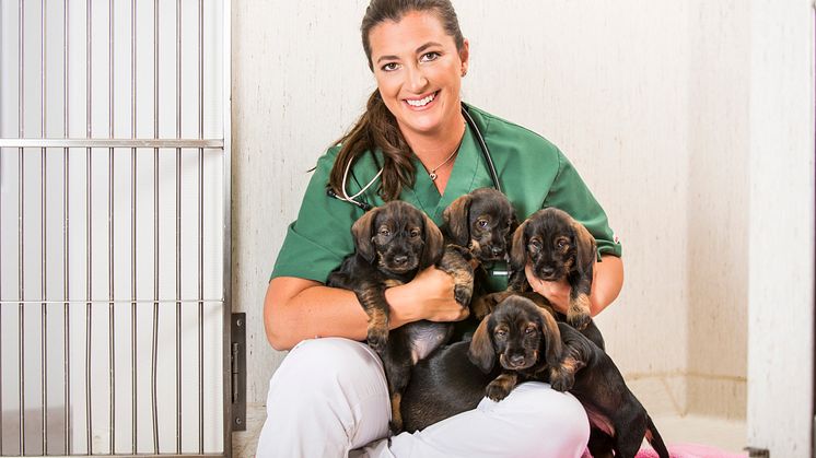 Nu finns boken ''Så slipper du veterinären'' ute i butik! 