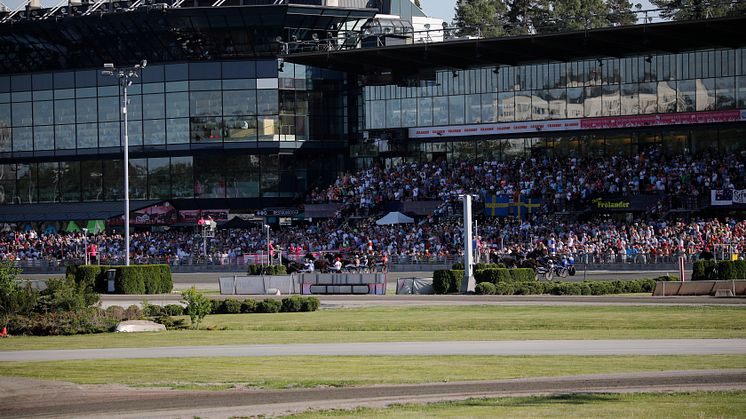 Solvalla publik