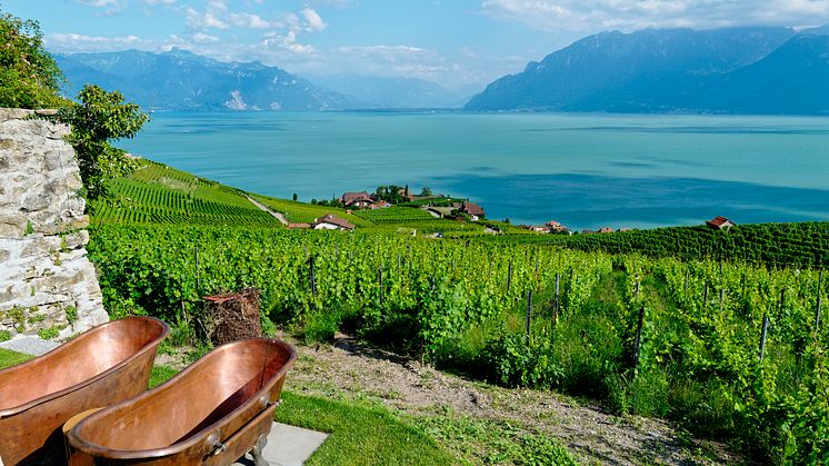 ST_La-Vigne-Swiss-Wine-Therapy_(c)La Vigne Swiss Wine Therapy