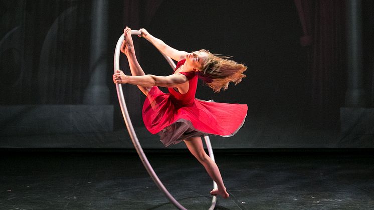 Cirkopolis