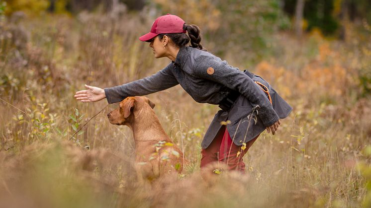 Hundsportsbälte AW24