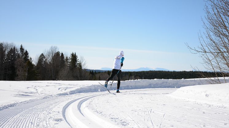 Foto: Andreas Lindgren