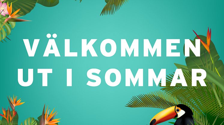 All evenemang finns på www.mkbfastighet.se/evenemang och i Malmö stads evenemangskalender.