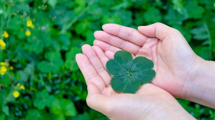 KommuneKredit has issued green loans to the Danish municipalities and regions since 2017.