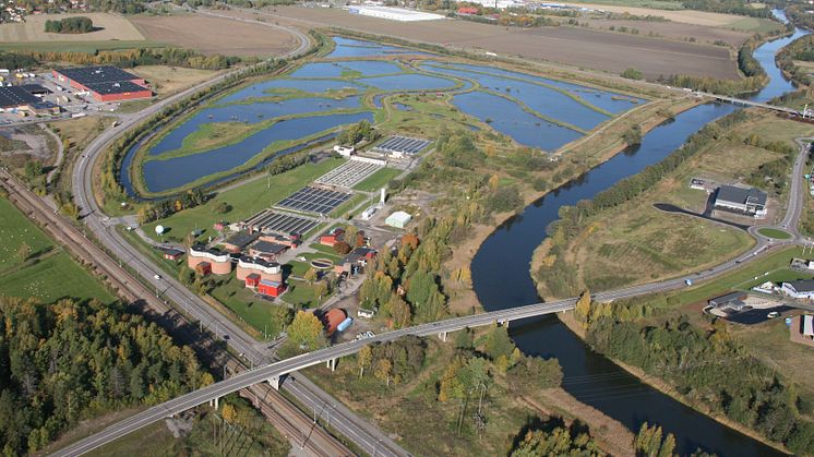 Våtmark