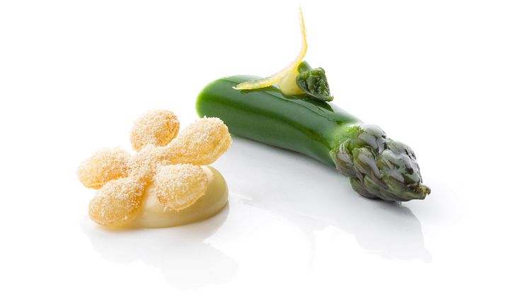 Bocuse-d'Or_2018_Garnityr_SG_Aspargus-and-Castelmagno-cream