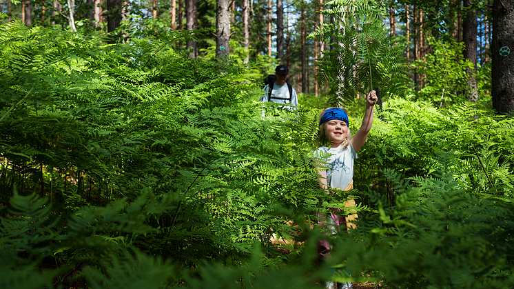 Onnellisuusmetsä