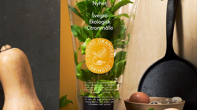 Svegro Vilda Smaker - ekologisk citronmålla_miljöbild