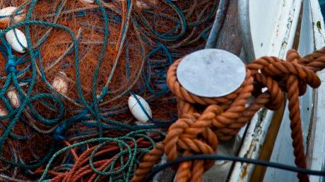 Ökade kvantiteter för kustfiske av sill i Östersjön för 2013