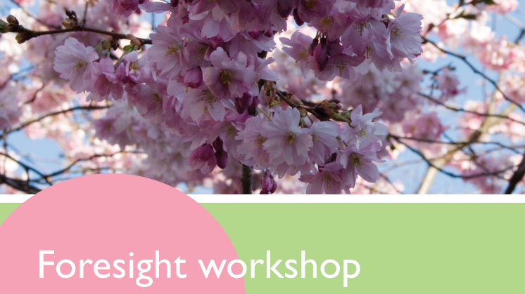 Foresight workshop