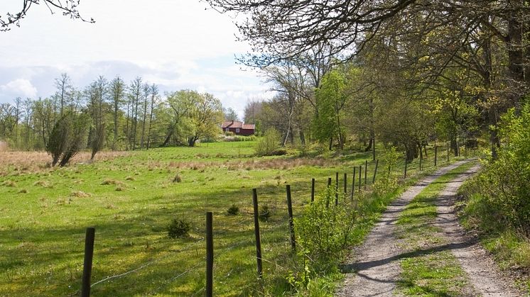 Ängsö. Foto Christer Broman/Mostphotos.