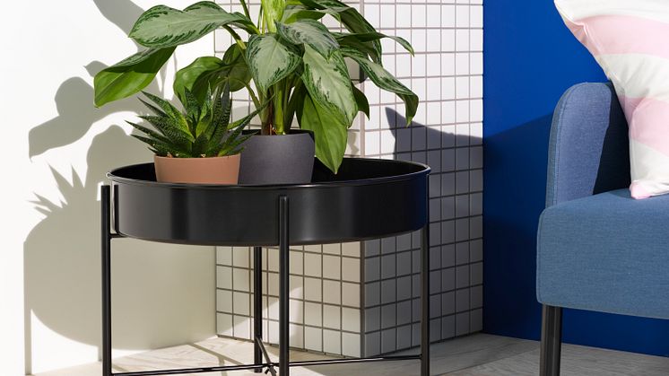 KULTURSKOG planteopsats 349 DKK (1)