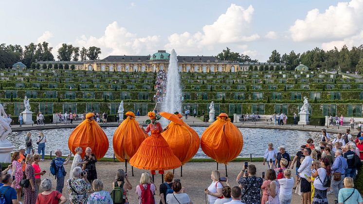 Art performance in front of Sanssouci Palace