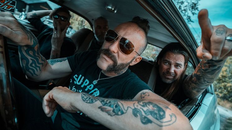 Mustasch. Foto: Ted Lindén