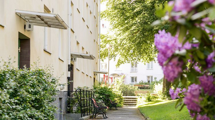 Fem ställen att undersöka på visningen
