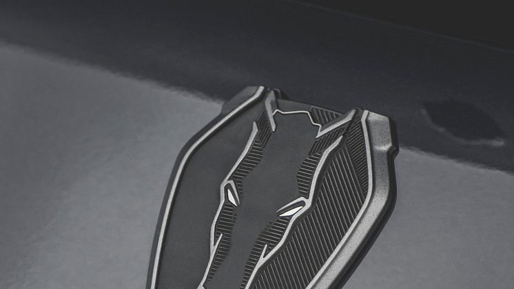 2024 FORD MUSTANG DARK HORSE (34)