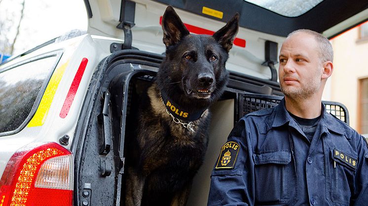 Årets polishund 2017 Rapport's Attack tillsammans med sin förare Tommy Eriksson