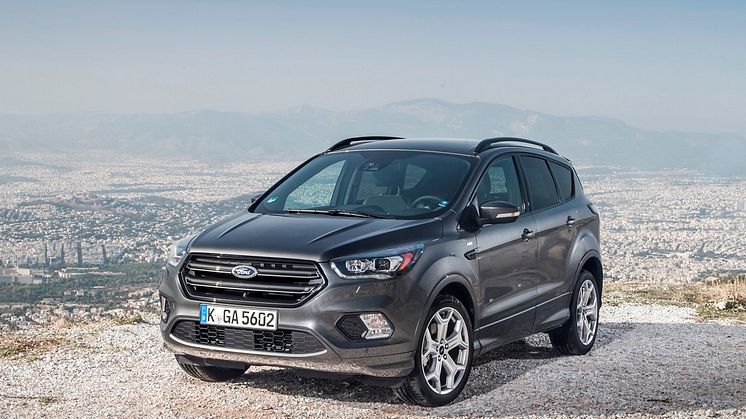 Kuga Photo