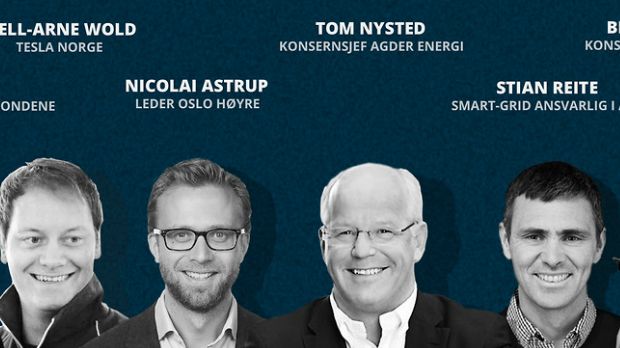 Hva har Google, Tesla, Telenor, ABB, Skagenfondene til felles? 