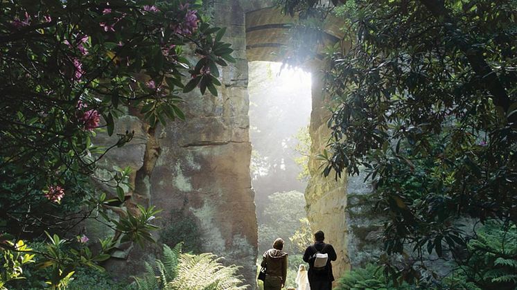 Free travel to Northumberland beauty spots