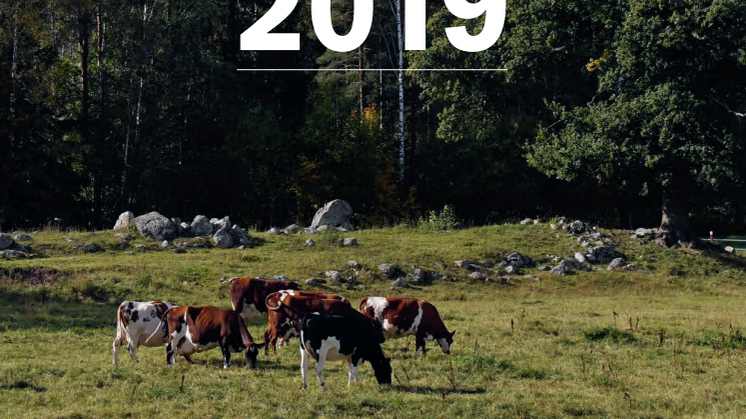 Växa Sverige årsredovisning 