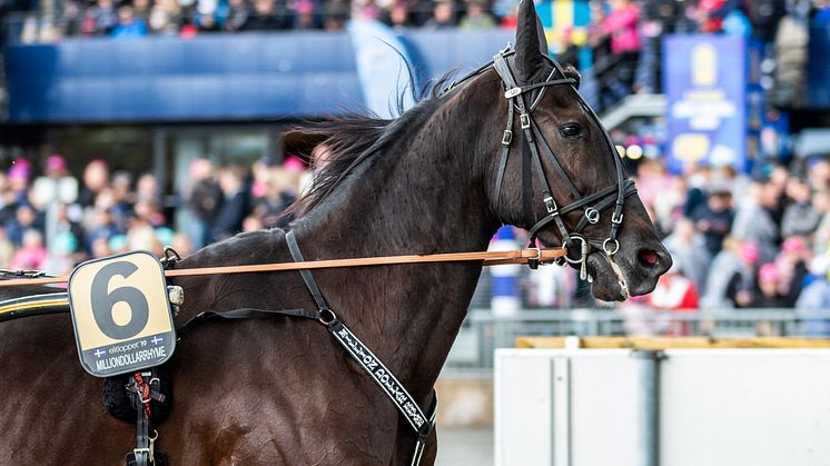 Milliondollarrhyme kommer till Elitloppet 31 maj