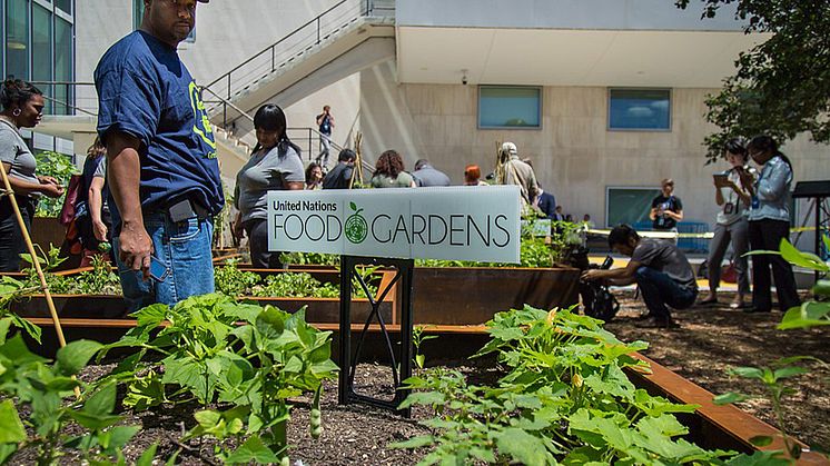 29 Oct KSLA Webinar: After the Food Systems Summit (FSS) – the way forward