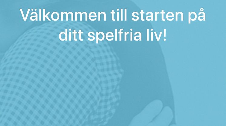Inloggsida - Spelfriheten.jpg