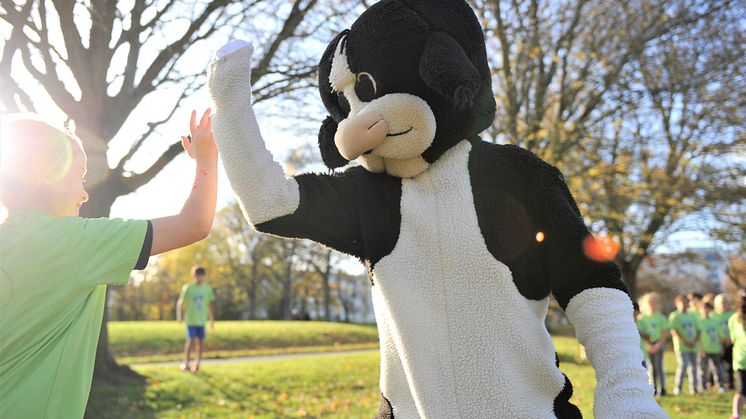 Skånemejeriers populära barnlopp Kalvinknatet fyller 20 år!
