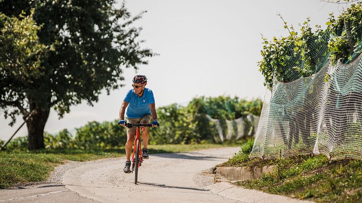 Velofahrer am Mont Vully am Murtensee : Region Fribourg 