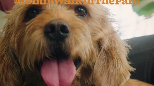 Hälsoutmaning: #10minwalkinthepark