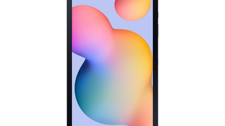 Galaxy Tab S6 Lite_Front_Grey