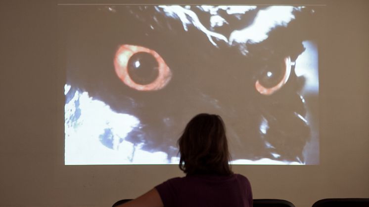 Pressbild: The Realism Question på Rumänska kulturinstitutet